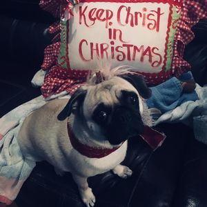 Meet your Posher, Judy